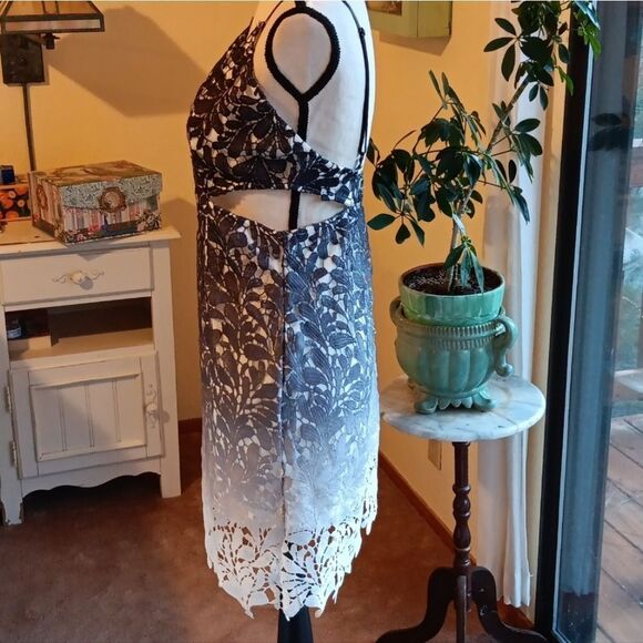 Fashion Nova Lace Ombre Cut-Out Mini Dress. Cocktails, Evening,  Fairycore - Picture 8 of 14